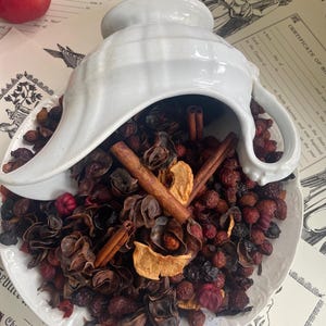May include: A white ceramic gravy boat rests on a white plate filled with a mixture of dried rose hips, dark brown dried flower petals, cinnamon sticks, and dried apple slices. A fresh red apple sits to the side of the plate.