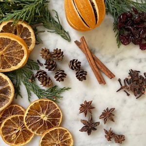 May include: An overhead shot of various dried spices and botanicals. The image includes dried orange slices, a whole dried orange, cinnamon sticks, star anise, cloves, cranberries, and small pine cones. Green sprigs of evergreen are also present.