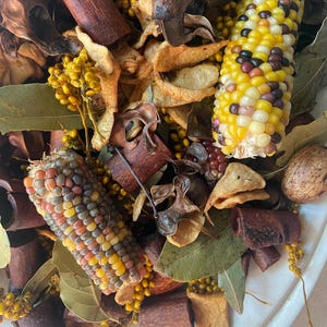 May include: Close-up of a decorative potpourri arrangement featuring colorful Indian corn, cinnamon sticks, dried leaves, and yellow berries. The arrangement is set on a white surface, creating a rustic and natural aesthetic.