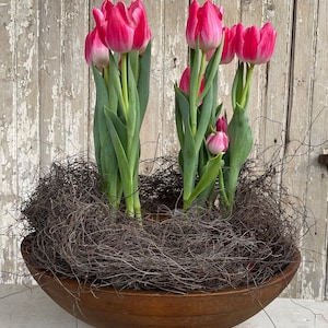 Dried Angel Vine: Natural Bowl Filler, Garden Decor (8oz)