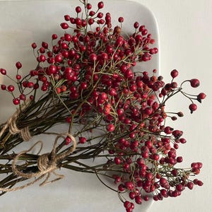 May include: A bundle of dried rose hip stems featuring numerous small, round, vibrant red berries attached to thin, woody brown branches. The stems are gathered together and secured with a simple, light brown natural jute twine bow.