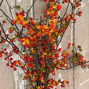 May include: A bundle of dried bittersweet branches featuring numerous small, round, bright red berries and open yellow-orange husks. The woody, dark brown stems are thin and branched, creating a dense, textured arrangement of autumn-colored fruit.