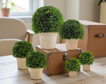 Real Preserved Boxwood Topiary Pots / Sizes: 6", 8", 12", 16"
