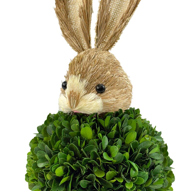 Boxwood Rabbit Easter Bunny Rabbit Real Preserved Boxwood & Cypress Topiary Decor Set ...