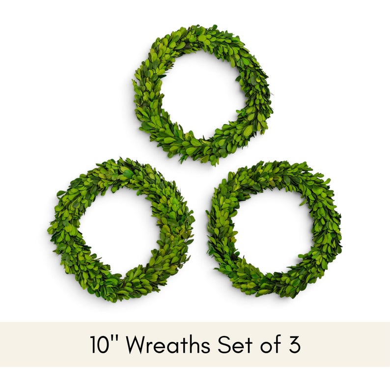 Triangular Boxwood Small 6