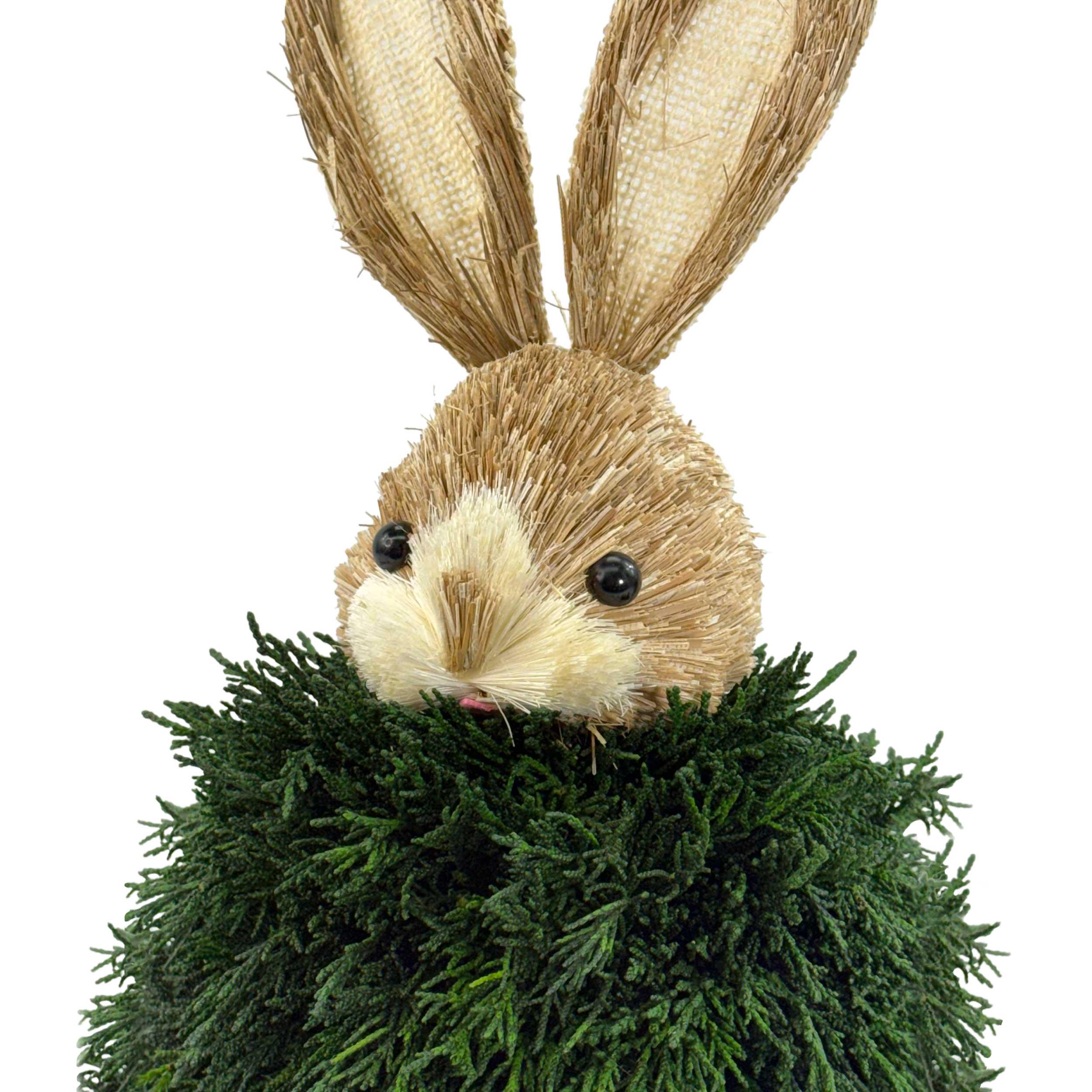 Boxwood Rabbit Preserved Single-ball Boxwood & Cypress Rabbit Shaped Topiary Decor Set ...