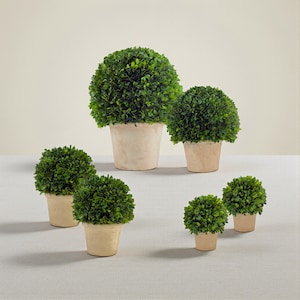 Real Preserved Boxwood Topiary Pots / Sizes: 6", 8", 12", 16"