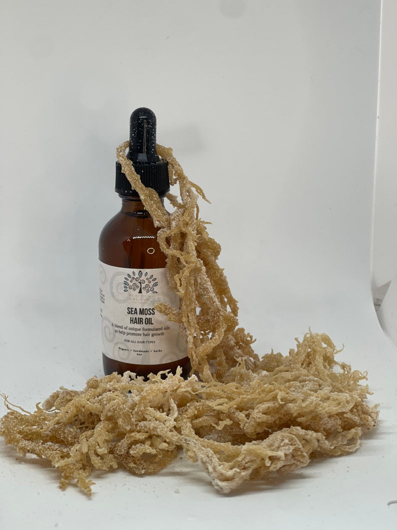 Sea Moss Hair Growth Oil Hair and Scalp Treatment Oils for Damaged Dry