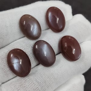 May include: Five oval-shaped gemstones with a brown and iridescent sheen. The stones are arranged in a row on a white surface.
