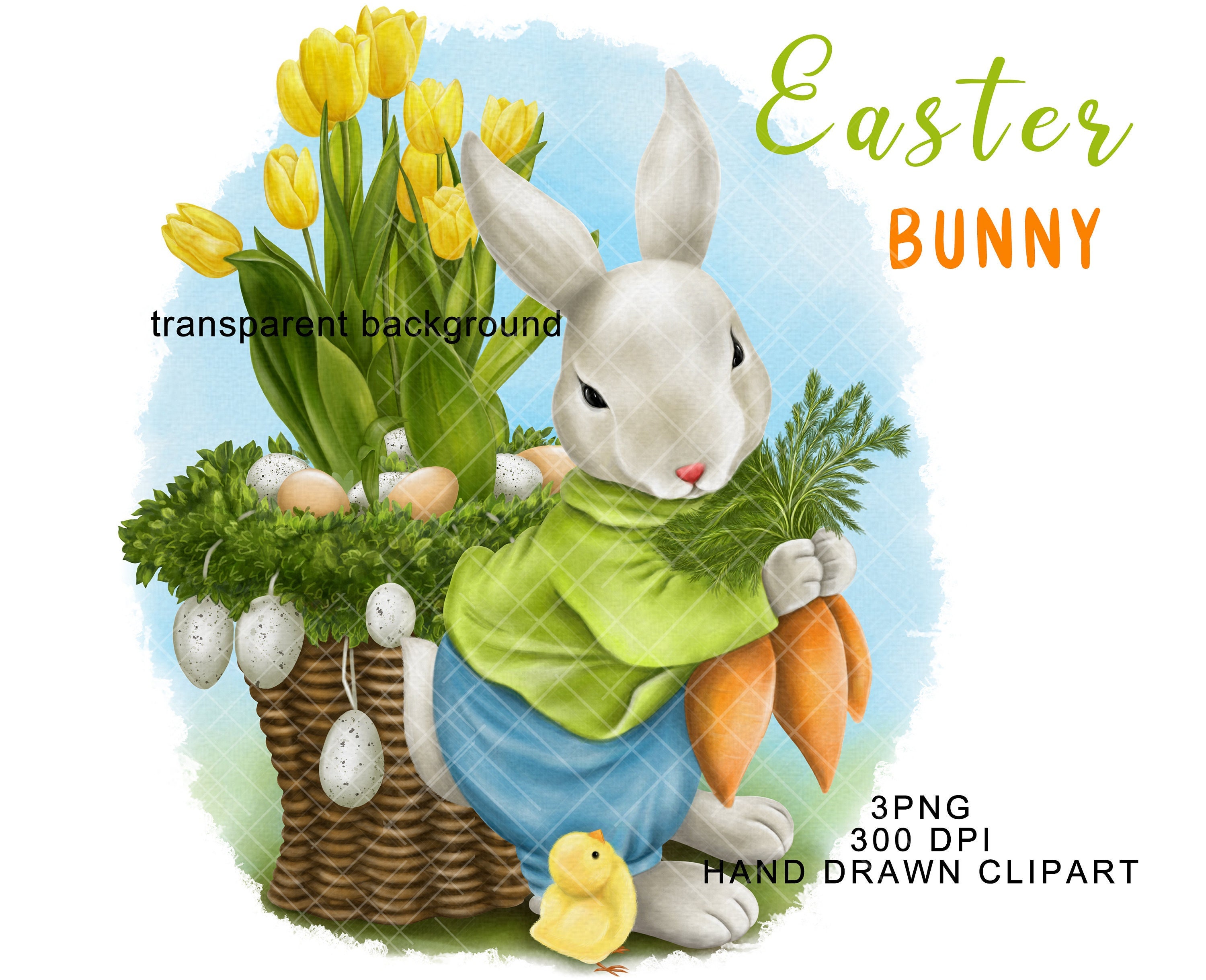 Easter Bunny Rabbit PNG Sublimation Clipart Spring Cute Decal ...