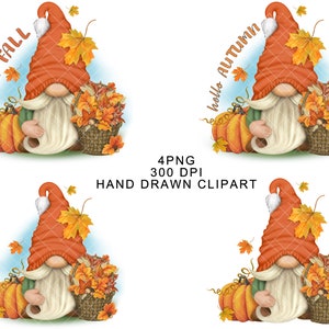 Fall Gnome PNG Clipart Cute Autumn Pumpkin Thanksgiving  Waterslide Gonk Welcome Farm Sublimation Images Decal Tumbler Graphics Sign SVG