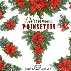 Christmas Star Poinsettia PNG clipart Bouquets Watercolor Floral Decoration Elements New year borders and garlands Winter Graphics Designs