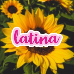 Latina Sticker, Latinx Sticker, Vinyl Sticker für Wasserflaschen, Laptops & Planer, Poderosa, Latina Geschenk von Eres Fuego