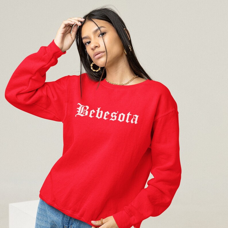 May include: Red sweatshirt with white text that reads "Bebesota" in a gothic font.