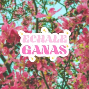 Latina Sticker, Latinx Sticker, Vinyl Sticker für Wasserflaschen, Laptops & Planer, Echale Ganas, Latina Geschenk von Eres Fuego