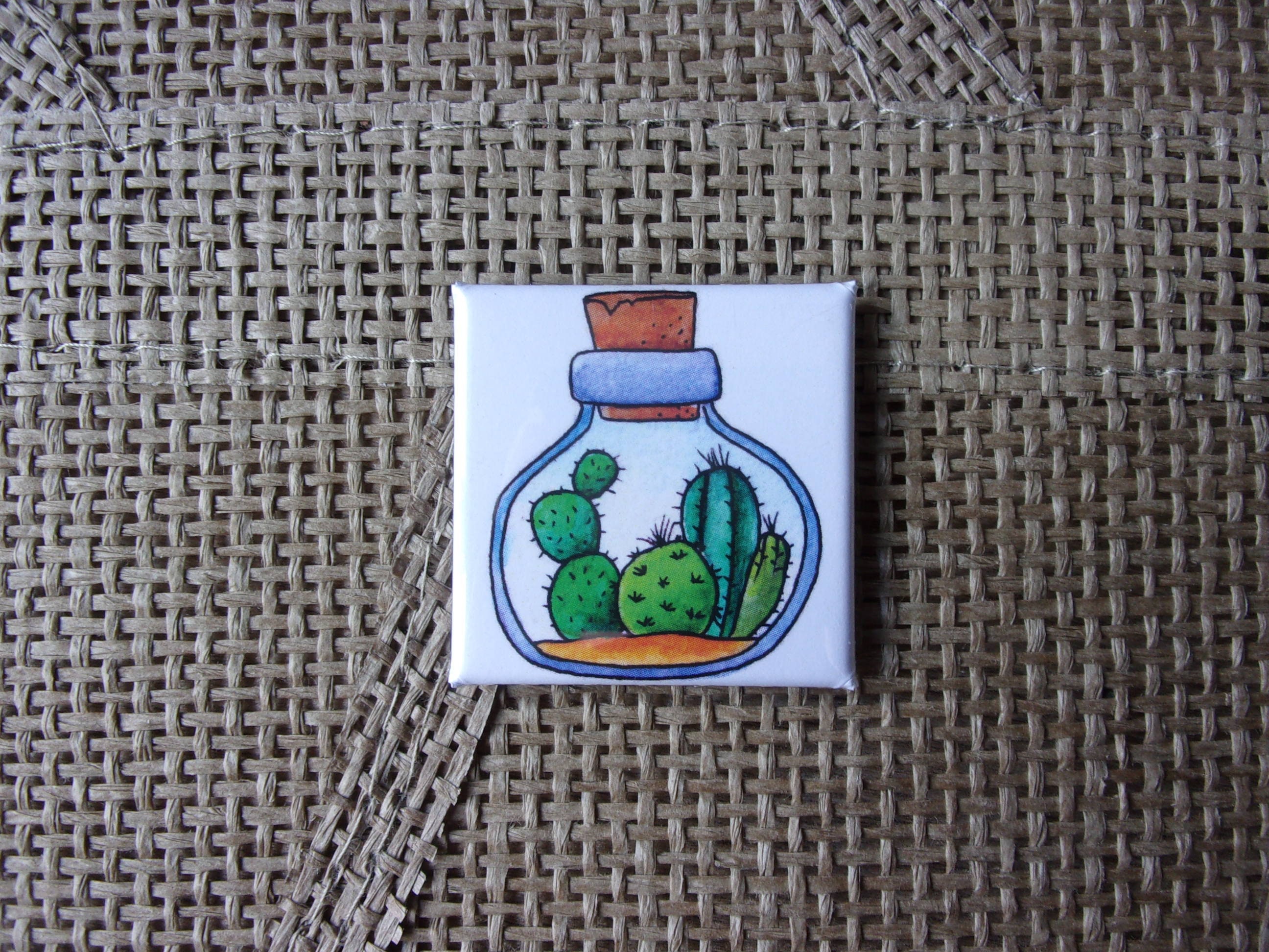 Magnet Plante d'intérieur, Cactus, Magnet Grasse Bocaux Verre, Bocal Verre Liège, Aimant Déco Cuisin