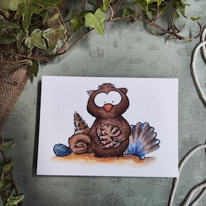 Carte Oiseau Hibou et Coquillage – Illustration Mignonne et Naturelle