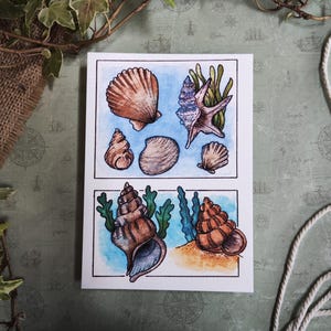 Tarjeta de conchas y algas: Tesoros del mar en acuarela de verano