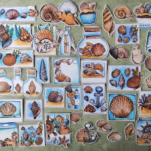 Pegatinas de conchas marinas – Set de 38 pegatinas de verano con acuarela – Ilustraciones de naturaleza y océano