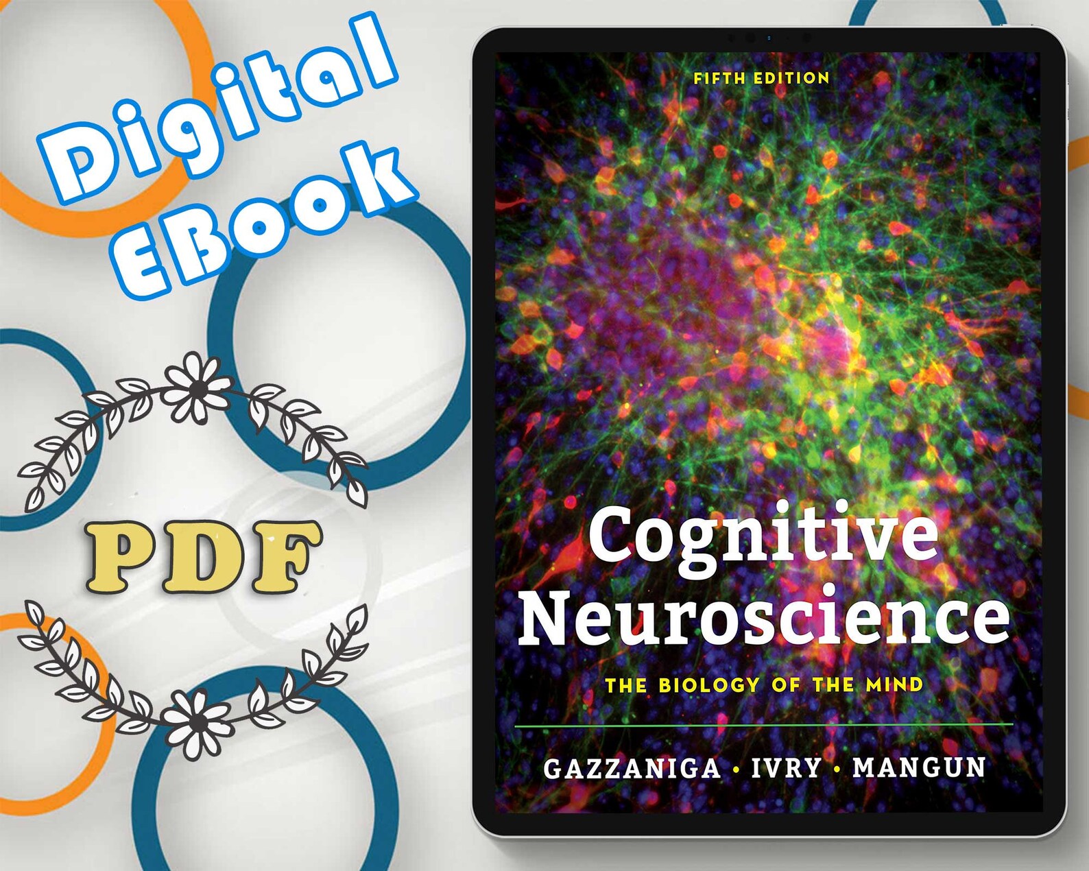 Cognitive Neuroscience The Biology of the Mind Fifth Edition Etsy