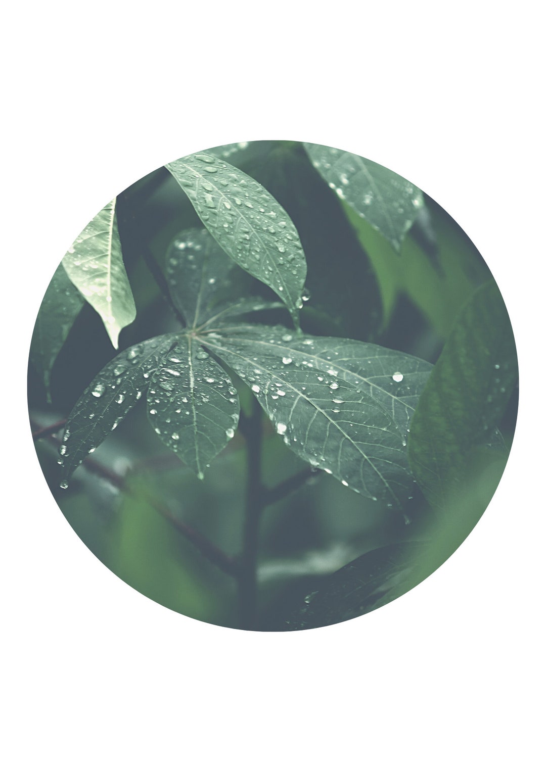 3 Green Themed Wall Art in Various Layouts Digital Prints Etsy