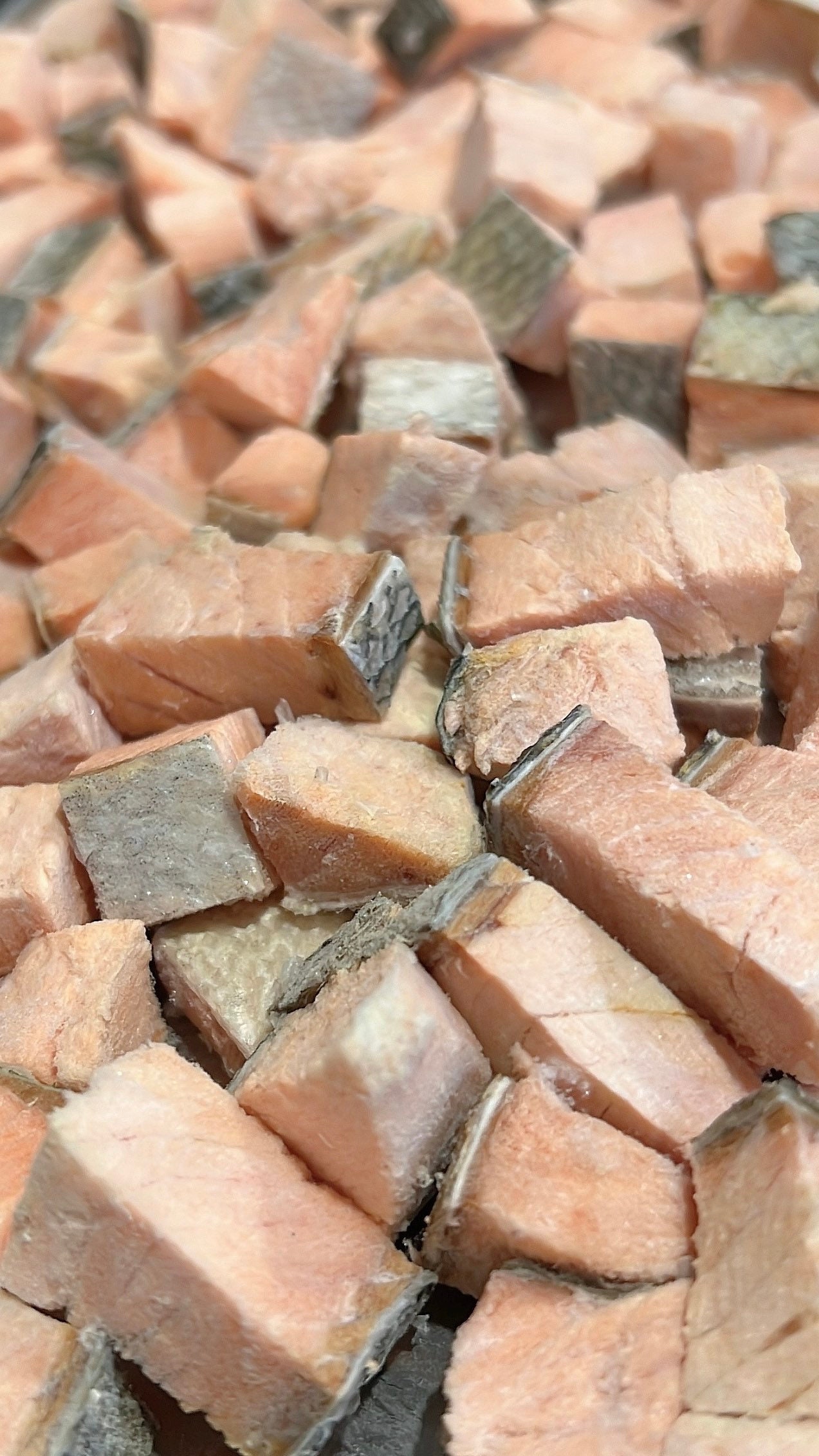 Freeze Dried Salmon Cat Treats Wild Caught Chum Salmon Etsy