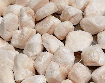 Freeze Dried Small Scallops. Cat Treats. Human Grade. Bay Scallops, fresh, vacuum sealed. Yummy Dog Treats, Pet Treats.