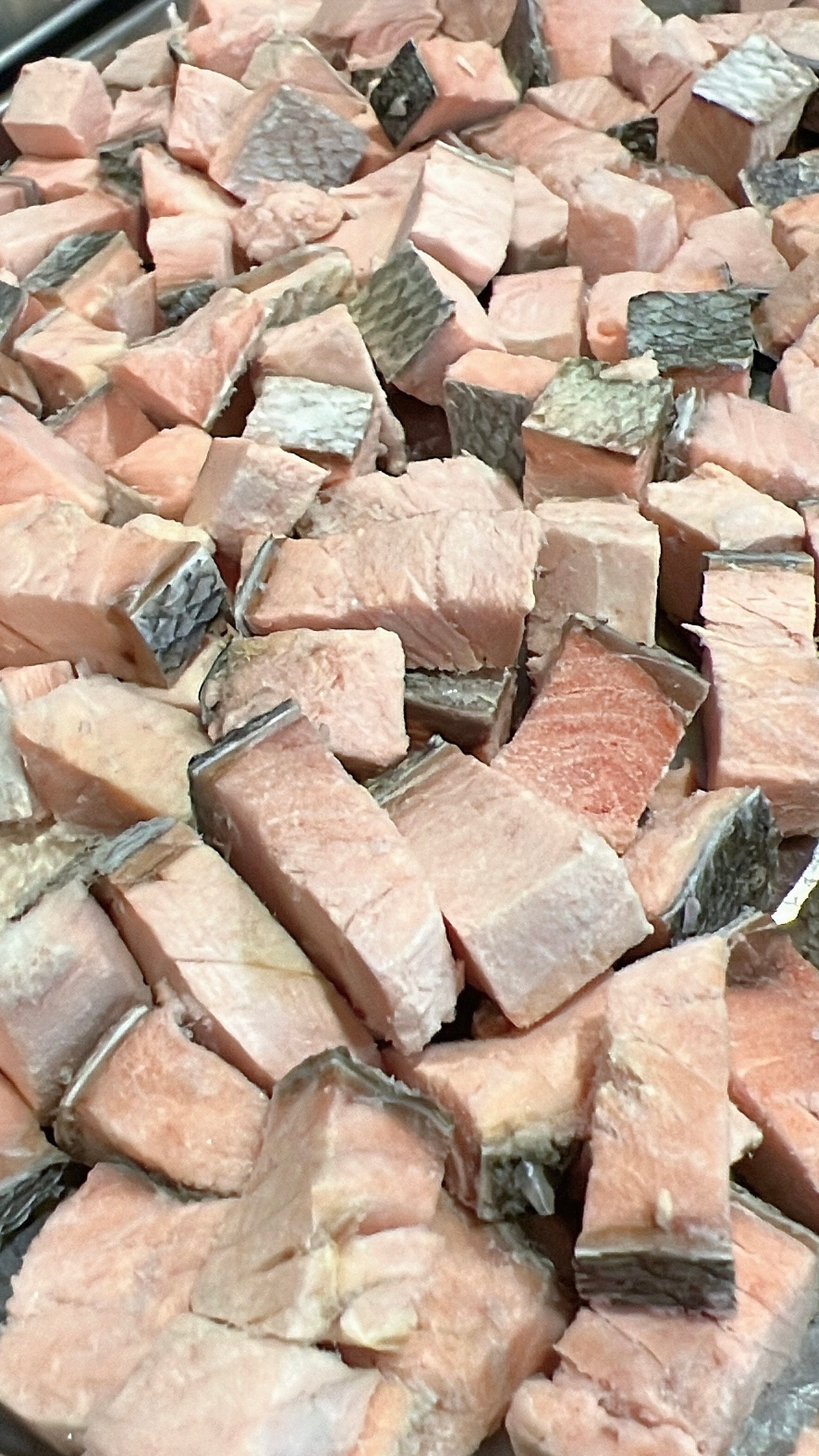 Freeze Dried Salmon Cat Treats Wild Caught Chum Salmon Etsy