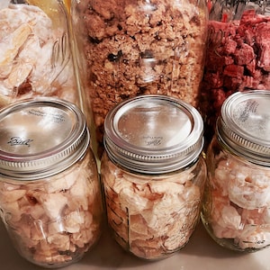 Puede incluir: Cuatro tarros de vidrio llenos de diferentes tipos de comida seca. Los tarros tienen tapas plateadas con la palabra "Ball" impresa en ellos. Los tarros est&aacute;n sentados en una encimera.