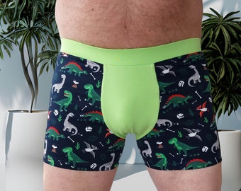 Boxers, Scrundies, Dino Boxers, Dinosaur pants