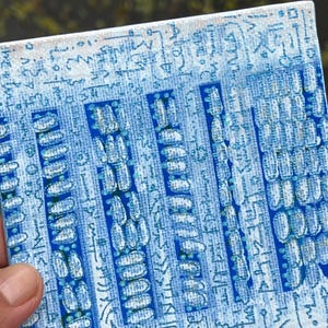 Op de afbeelding: Een klein, vierkant canvas met een blauw en wit abstract ontwerp. Het kunstwerk toont verticale rechthoekige vormen gevuld met witte ovalen en kleine blauwe stippen. De randen zijn gedetailleerd met ingewikkelde patronen en symbolen, wat een textuur creëert.