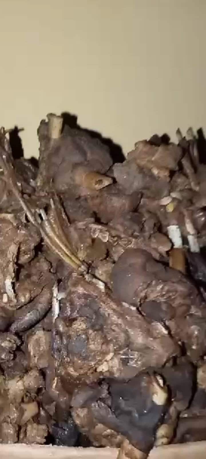 Firewood Smoked Nigerian Native Goat Meatmkpi 500g Etsy