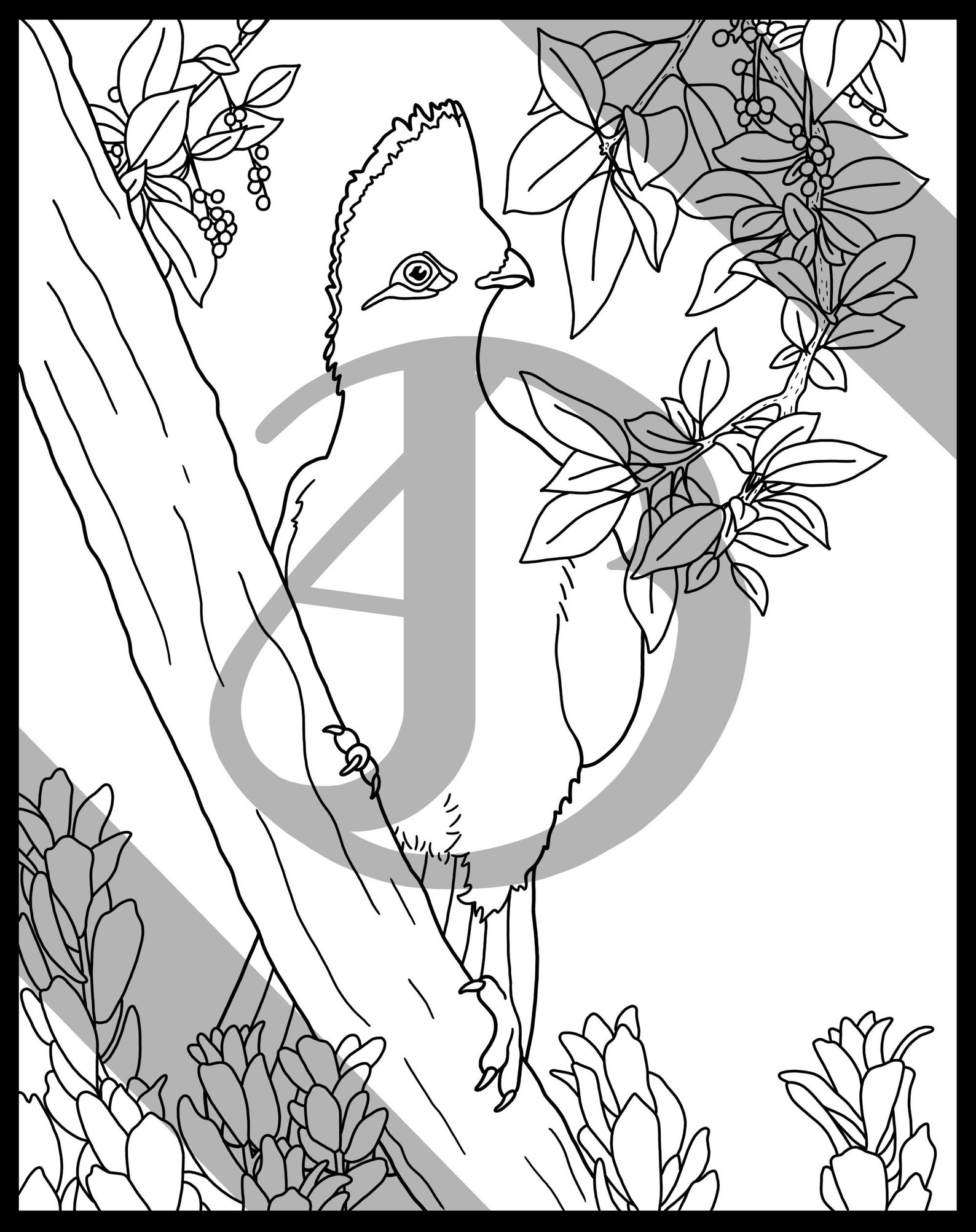 Loerie Digital colouring page A4 | Etsy
