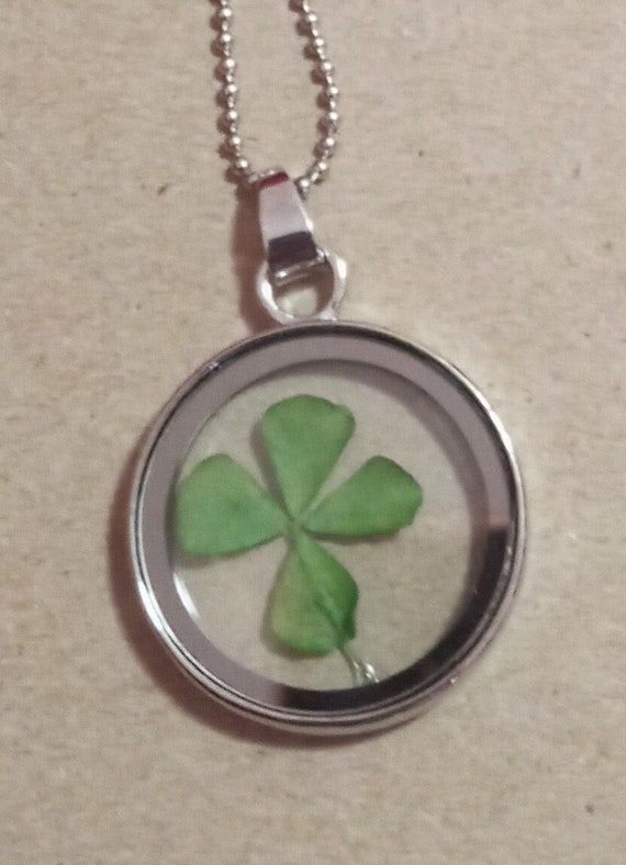 Real Four Leaf. Clover