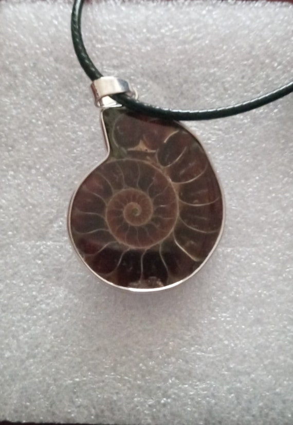 Polished Natural Ammonite Fossil Pendant. Chain In