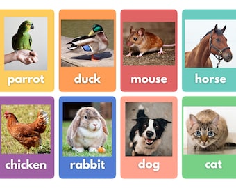 Animals and Pets Flashcards (Set of 48) - PRINTABLE PDF Digital Download