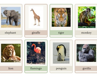 Zoo and Safari Animal Flashcards Printable Download Montessori - Etsy Zoo and Safari Animal Flashcards Printable Download Montessori - Etsy