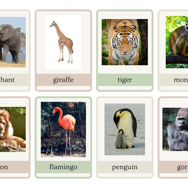 Zoo and Safari Animal Flashcards Printable Download Montessori Style Set of 48 cards including words and pictures