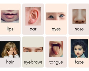 Montessori Body Parts Flashcards: Printable Learning Cards (Digital Download)