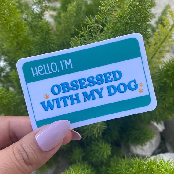 Why Is My Dog Obsessed With My Hands