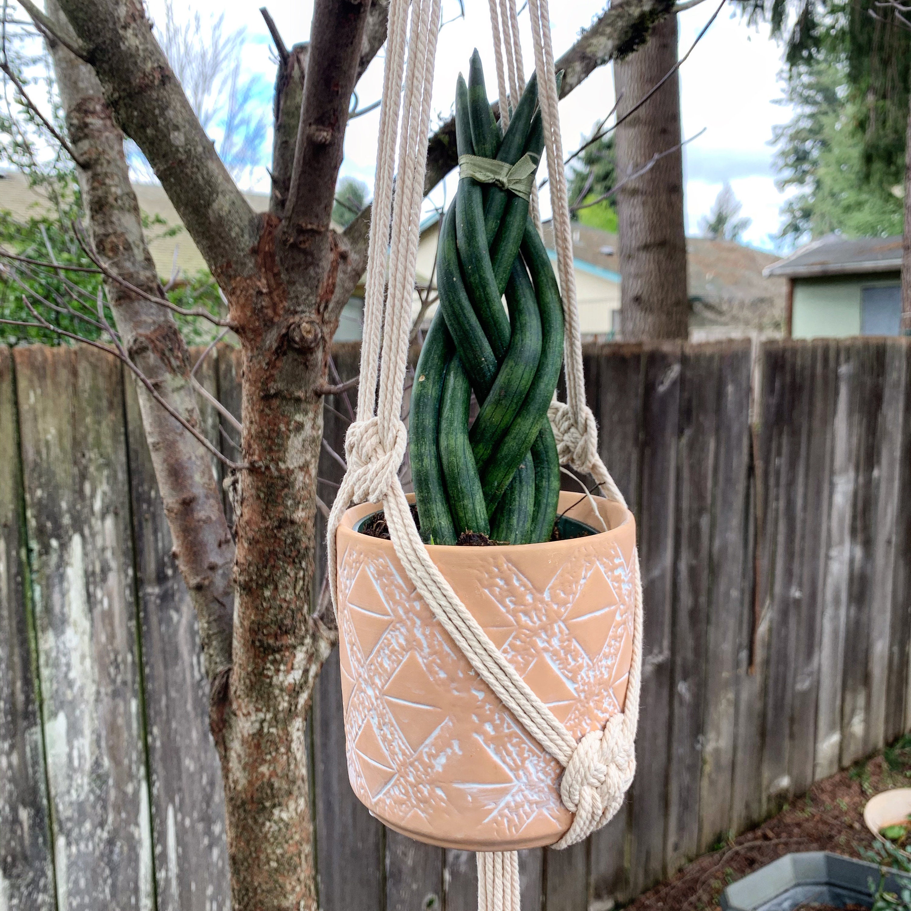 Josephine Knot Macrame Plant Hanger Etsy