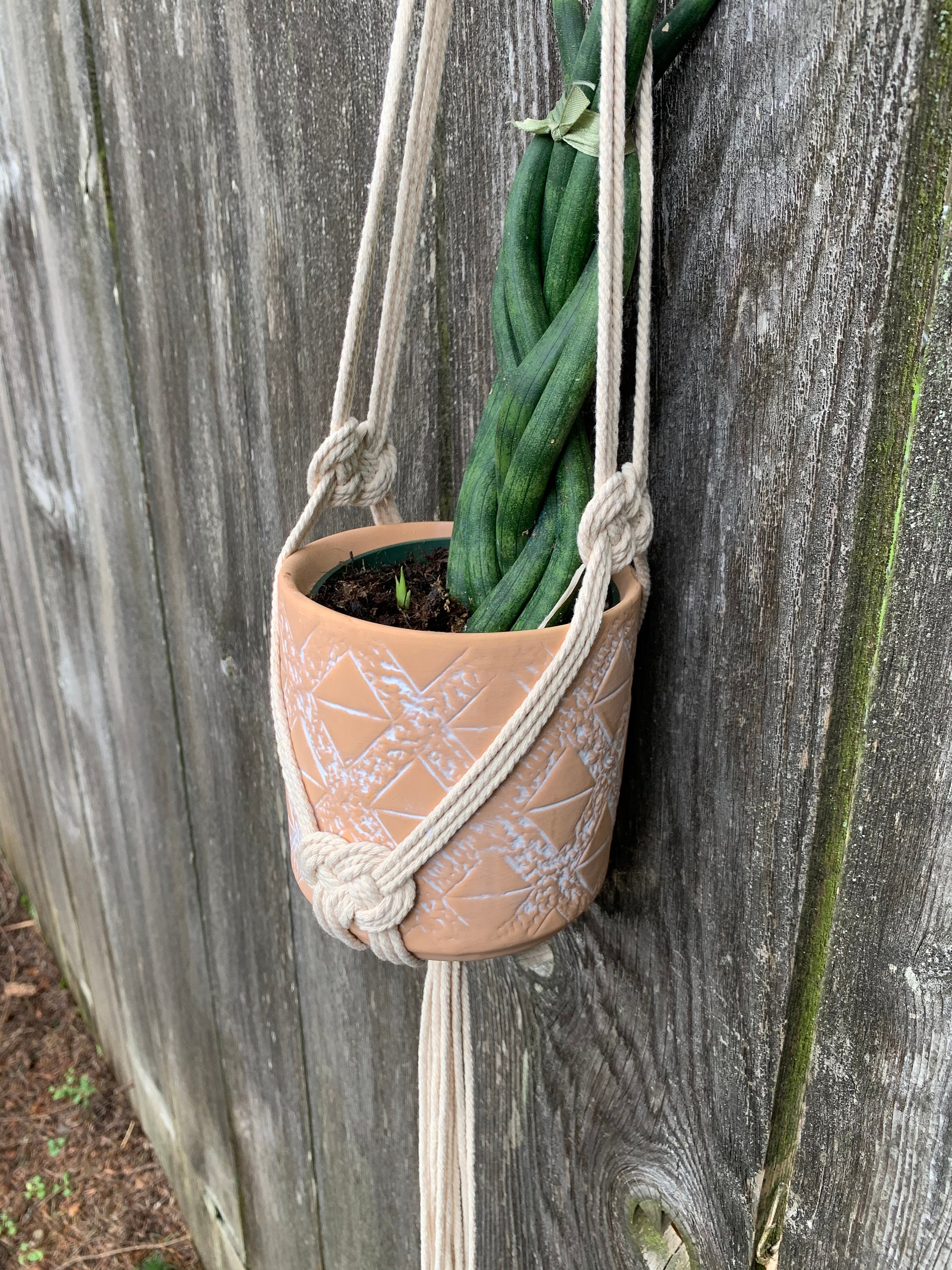 Josephine Knot Macrame Plant Hanger Etsy