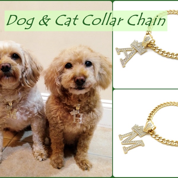 Stone Filled King Crown Tilted Initial Letter Cuban Chain 10 - 30 inches Dog Chain Pet Collar Chain Pet, Cat, Puppy Necklace