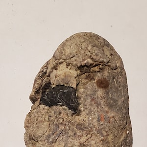 Gastrolith effigy stone image 1