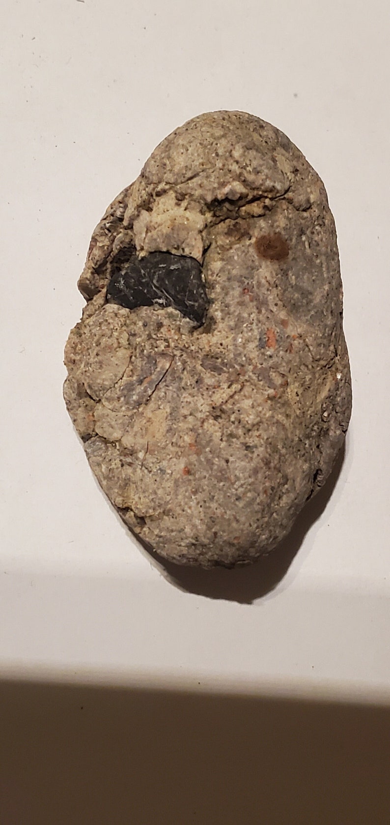 Gastrolith effigy stone image 1