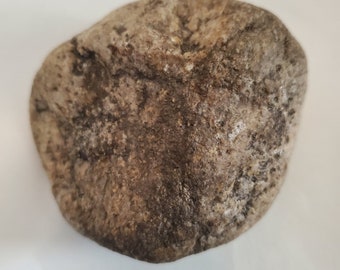 Anaconda Head Effigy Stone