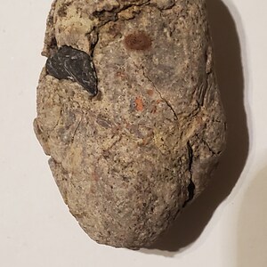 Gastrolith effigy stone image 3