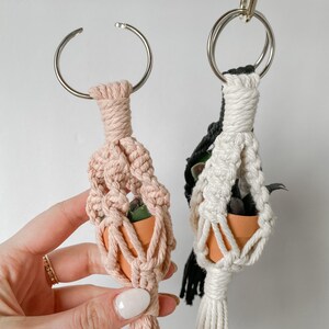 May include: Two macrame plant hangers with small terracotta pots and plants. One hanger is pink and the other is white with black accents.
