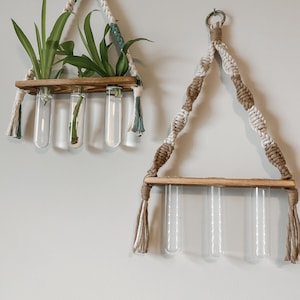 May include: Two macrame plant hangers with wooden shelves and glass test tubes. The top hanger is teal and white and has a plant in it. The bottom hanger is brown and white.