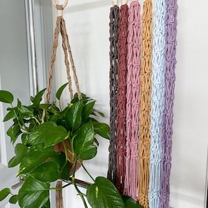 May include: A set of six macrame plant hangers in various colors, including gray, pink, beige, and light blue. Each hanger has a wooden ring at the top and is made with a knotted rope design.
